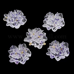 Transparente Harzcabochons RESI-E049-02B