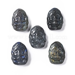 Natur Labradorit Cabochons G-G985-12