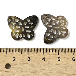 Natürliche schwarze Lippe Shell Cabochons SSHEL-M022-23