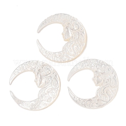 Natürliche weiße Muschel-Cabochons geschnitzt SSHEL-C012-11