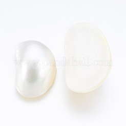 Natürliche weiße Muschel Perlmutt Muschel Cabochons SSHEL-P014-01A