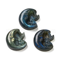 Natürlicher Labradorit geschnitzte Cabochons G-C152-09