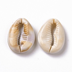 Acryl Cabochons OACR-C011-14