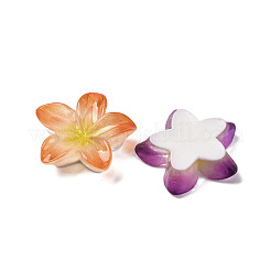 Undurchsichtigen Cabochons RESI-R455-01P