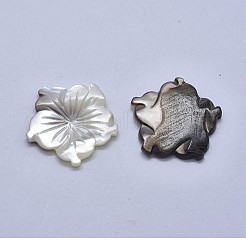 Shell Cabochons SSHEL-P015-78