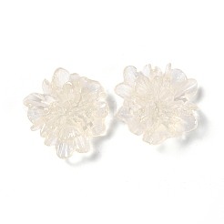 Transparente Harzcabochons X-RESI-G027-01A