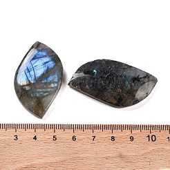 Natur Labradorit Cabochons G-B085-05