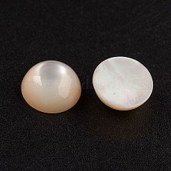 Natürliche weiße Muschel Perlmutt Muschel Cabochons SSHEL-G014-13