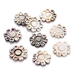 Natürliche schwarze Lippe Shell Cabochons SSHEL-T014-25