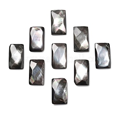 Natürliche schwarze Lippe Shell Cabochons SSHEL-D084-02A
