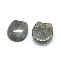 Natur Labradorit Cabochons G-O175-13I