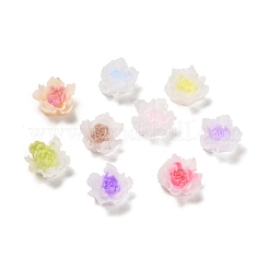Leuchtende Decoden-Cabochons aus Harz RESI-K036-06F