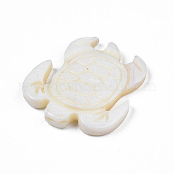 Natürliche Süßwasser Muschel Cabochons SHEL-S276-163