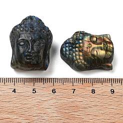 Natürlicher Labradorit geschnitzte Cabochons G-C152-12