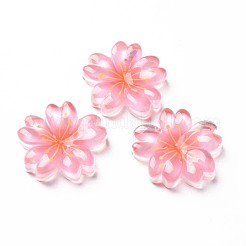 Transparente Epoxidharz-Cabochons CRES-S365-22