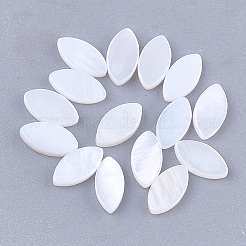 Süßwasser Shell Cabochons SHEL-S274-91