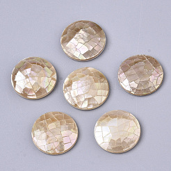 Natürliche Muschel-Cabochons SSHEL-N034-44