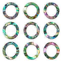 25 Stück natürliche Abalone Muschel/Paua Muschel Cabochons SHEL-WR0001-01