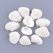 Подвески из моллюсков SSHEL-S258-60