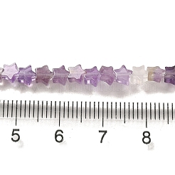 Natürlichen Amethyst Perlen Stränge&nbsp;G-G085-B01-01