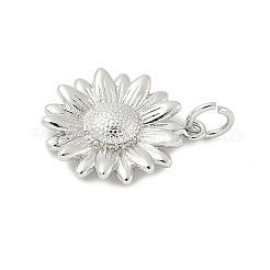 Pendentifs en laiton&nbsp;KK-I276-73P