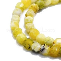 Fili di perle naturali di turchese giallo (diaspro)&nbsp;G-P457-B01-47