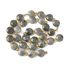 Perline labradorite naturale fili&nbsp;G-G271-C09-10mm