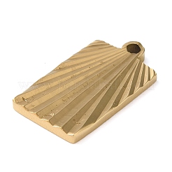 Pendentifs en acier inoxydable 304 avec placage ionique (IP)&nbsp;STAS-D025-06G-01