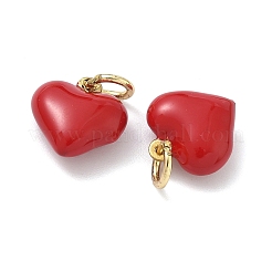 Messing Emaille Anhänger / charms&nbsp;KK-G548-05G