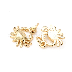 Messing Anhänger & Charms&nbsp;LS-KK-D019-16B-G