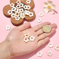 30 Stück natürliche Süßwasser-Muschelperlen-Rahmen&nbsp;SHEL-CJ0001-27