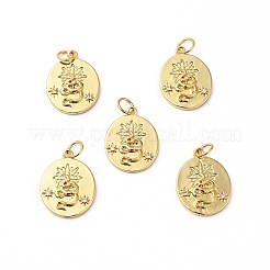 Placage de rack pendentifs en zircone cubique clair en laiton&nbsp;KK-H431-48G