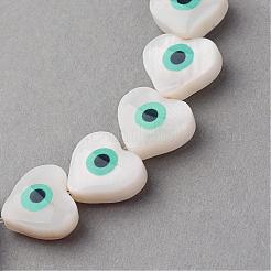 Naturali di mare shell perle fili&nbsp;SSHEL-Q296-35