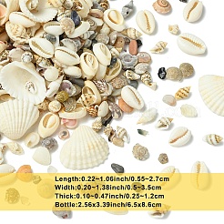 Kit di decorazioni fai da te per espositori di conchiglie&nbsp;DIY-YW0017-04