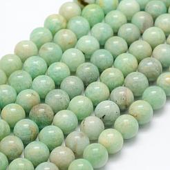 Fili di perline amazonite naturale&nbsp;G-P322-22-10mm