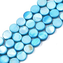 Shell perle d'acqua dolce fili&nbsp;SHEL-T009-B16