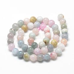 Fili di perline morganite naturale&nbsp;G-R446-10mm-06
