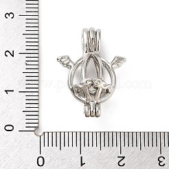 Pendentifs de cage de perle d'alliage&nbsp;FIND-M012-01J-P