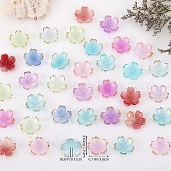 210 capuchon de perles en acrylique de 6 couleurs.&nbsp;OACR-SZ0001-47