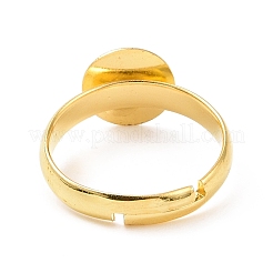 Base de bague en laiton&nbsp;EC541-14-G