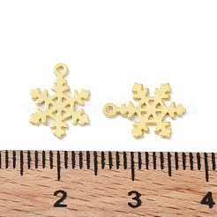 Encantos de plata 925 esterlina&nbsp;STER-C003-19G
