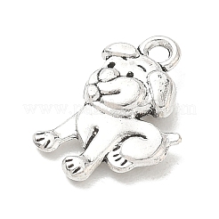 Tibetischer stil Aluminium Anhänger & Charms&nbsp;PALLOY-A037-03G-AS