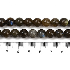 Natur Labradorit Perlen Stränge&nbsp;G-I253-01-8mm