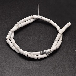 Natürliche howlite Spalte Perlen Stränge&nbsp;X-G-F247-07