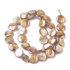 Abalorios de concha de agua dulce hebras&nbsp;X-SHEL-S274-52C