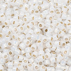 Perles rondes Toho 8/0&nbsp;SEED-XTR08-2100