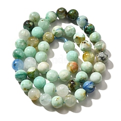 Natur Chrysokoll Perlen Stränge&nbsp;G-F784-A01-02