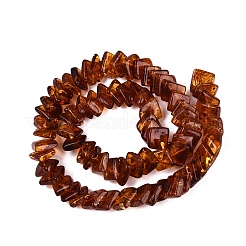 Naturbernsteinperlen Stränge&nbsp;G-N371-12A-02