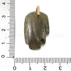 Natürliche geschnitzte Labradorit-Anhänger&nbsp;GG-CBA5963-01I-NH