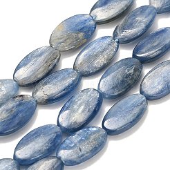 Chapelets de perles en cyanite naturelle&nbsp;G-H335-D01-8x15mm